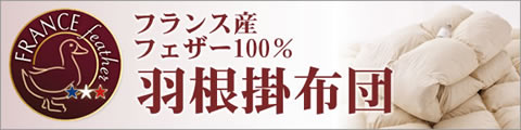 フランスフェザー１００％羽根掛布団
