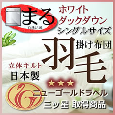 ホテル用羽毛掛け布団を通販限定で販売