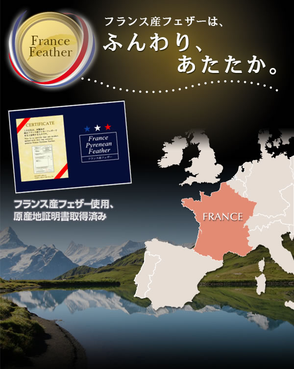 フランス産フェザー100%羽根布団8点セット 和タイプ 激安通販