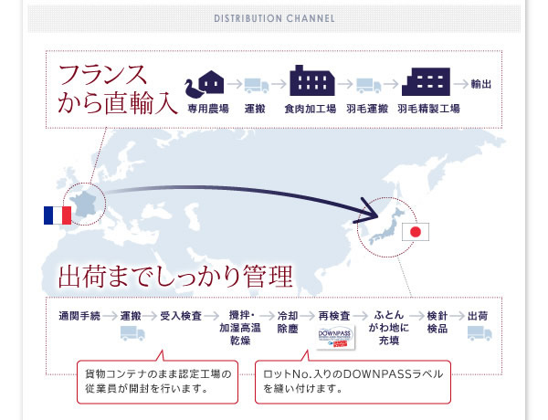 【DOWNPASS認証】フランス産ホワイトダックダウンエクセルゴールドラベル羽毛布団8点セット ベッドタイプ/和タイプの激安通販