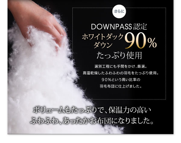 【DOWNPASS認証】フランス産ホワイトダックダウンエクセルゴールドラベル羽毛布団8点セット ベッドタイプ/和タイプの激安通販