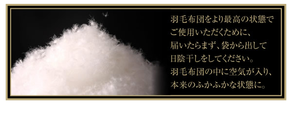 日本製防カビ消臭 エクセルゴールドラベルボリュームタイプ 羽毛布団8点セット 【Celicia】セリシアの激安通販