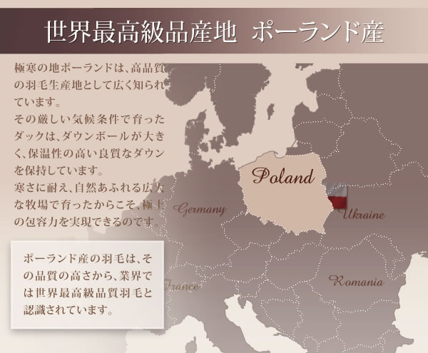 ポーランド産ホワイトダック90% ロイヤルゴールドラベル羽毛布団8点セット【Fiji】フィジー プレミアム敷布団タイプの激安通販