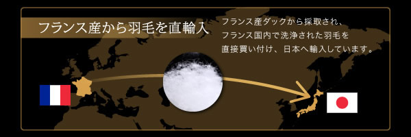 ニューゴールドラベル/エクセルゴールドラベル!高級ホテルスタイル羽毛布団5点セットの激安通販