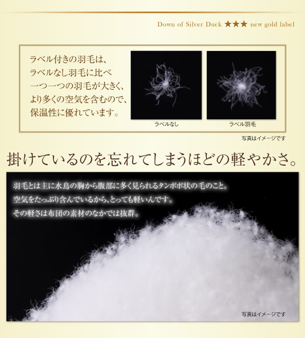 日本製防カビ消臭 ダックダウン ニューゴールドラベル 羽毛掛布団【Alice】アリーチェの激安通販