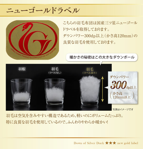 日本製防カビ消臭 ダックダウン ニューゴールドラベル 羽毛掛布団【Alice】アリーチェの激安通販