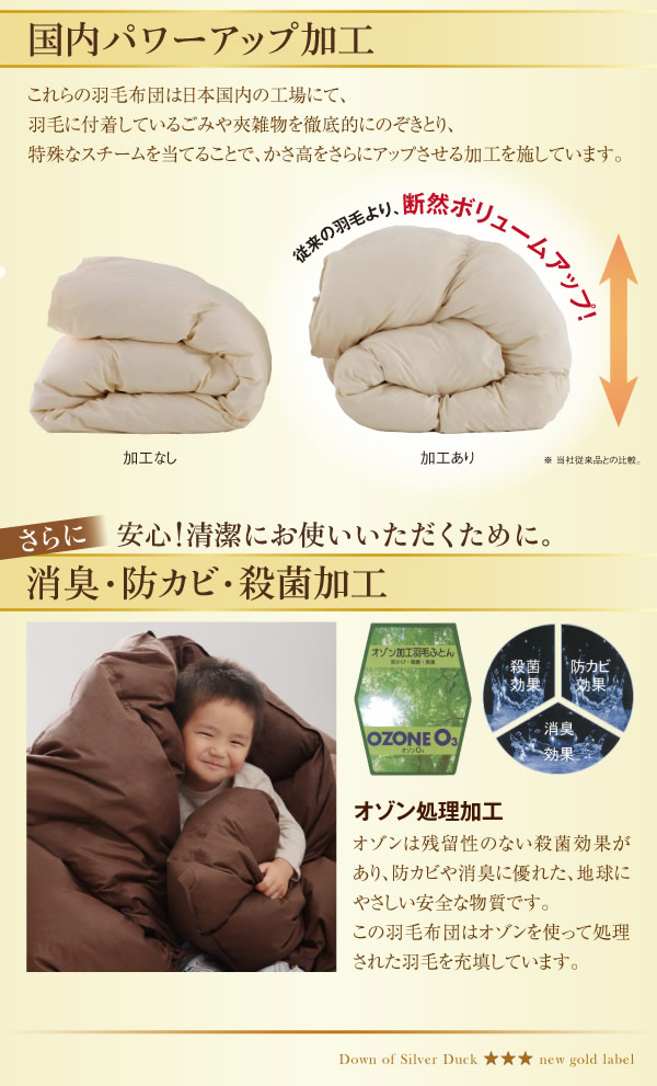 日本製防カビ消臭 ダックダウン ニューゴールドラベル 羽毛掛布団【Alice】アリーチェの激安通販