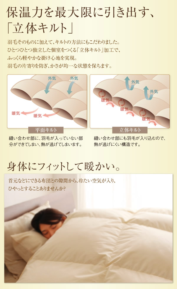 日本製防カビ消臭 ダックダウン ニューゴールドラベル 羽毛掛布団【Alice】アリーチェの激安通販