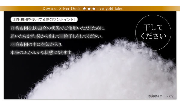日本製防カビ消臭 ダックダウン ニューゴールドラベル 羽毛掛布団【Alice】アリーチェの激安通販