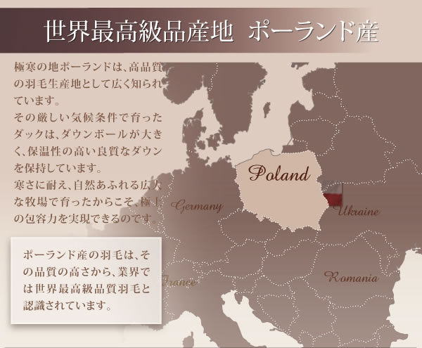 日本製ポーランド産ホワイトダックダウン90% ロイヤルゴールドラベル羽毛掛布団【Selena】セレナの激安通販
