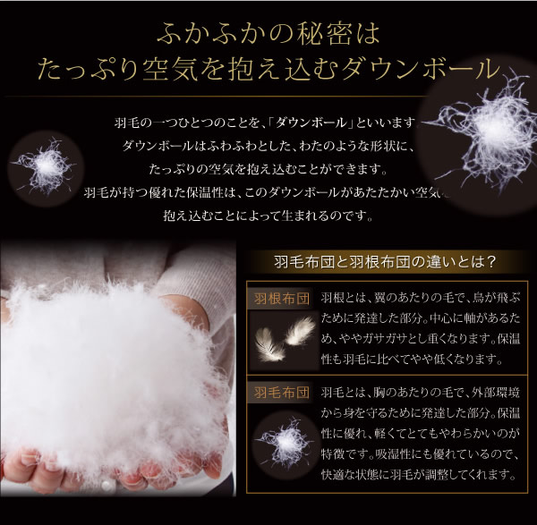 エクセルゴールドラベル ホワイトダックダウン90%羽毛掛布団 【Conrad】コンラッドの激安通販