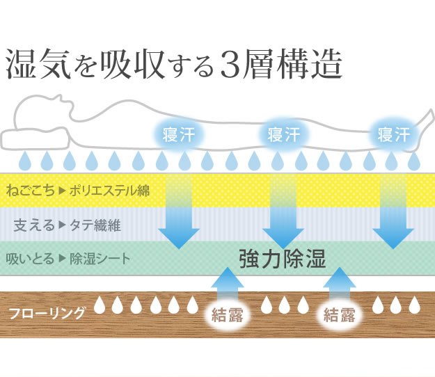 吸湿する1枚で寝られるオールインワン敷布団【カラリフトン】の激安通販