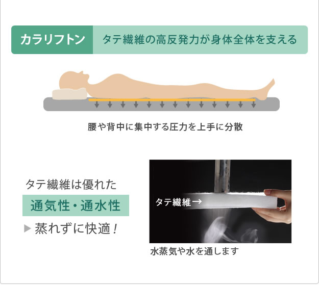 吸湿する1枚で寝られるオールインワン敷布団【カラリフトン】の激安通販