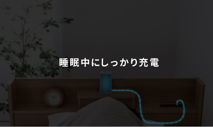 日本製・低ホルムアルデヒド仕様・多機能棚付き収納ベッド【Gladiolus】グラジオラス の激安通販