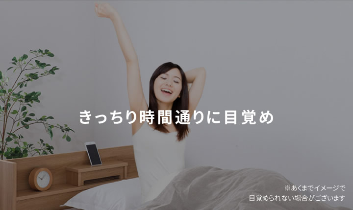 日本製・低ホルムアルデヒド仕様・多機能棚付き収納ベッド【Gladiolus】グラジオラス の激安通販