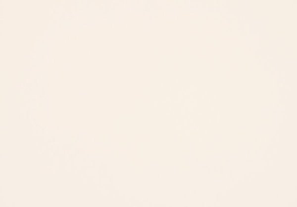 画像3: 日本製跳ね上げ式収納ベッド・スリム棚タイプ【Freeda】フリーダ：低ホルムアルデヒド (3)